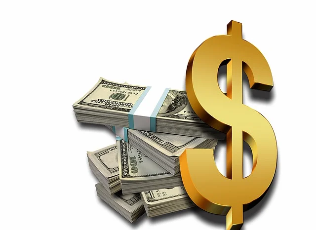 Money Case